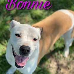 Photo of Bonnie