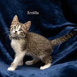 Photo of Scottie
