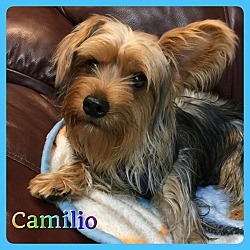 Thumbnail photo of Camilio #2