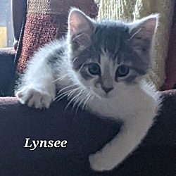Photo of Lynsee