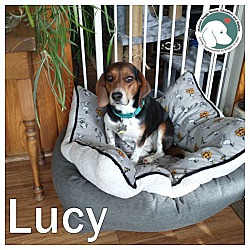 Thumbnail photo of LUCY #1