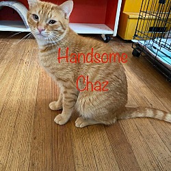 Photo of Handsome Chaz