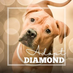 Thumbnail photo of Diamond #2
