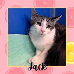 Thumbnail photo of Jack #1