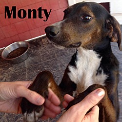 Thumbnail photo of Montgomery #4