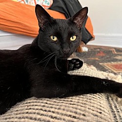 Photo of PUMA