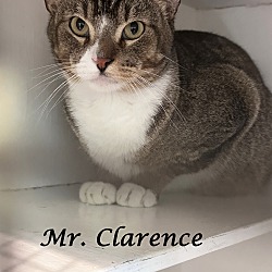 Thumbnail photo of MR. CLARENCE #4