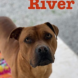 Thumbnail photo of River #4