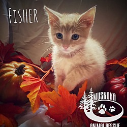 Photo of Fisher