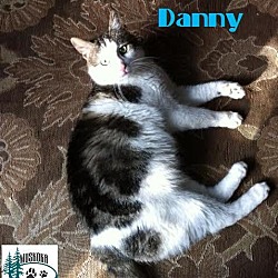 Thumbnail photo of Danny w/Amber July 2017 #2
