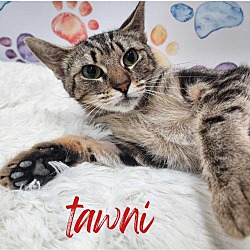 Thumbnail photo of Tawni #1