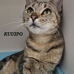 Photo of Ku'uipo