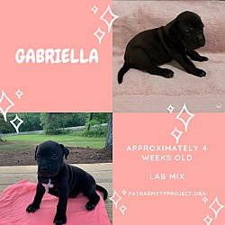 Thumbnail photo of Gabriella #1