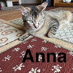Thumbnail photo of Anna #3