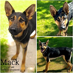 Thumbnail photo of MacK #1