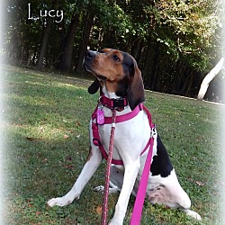 Thumbnail photo of Lucy #3