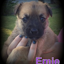 Thumbnail photo of Emie #3