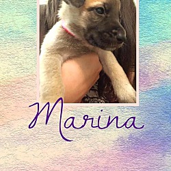 Thumbnail photo of Marina #4
