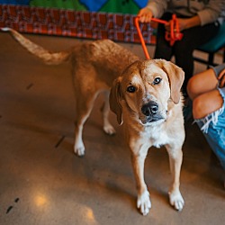 Photo of Daisy