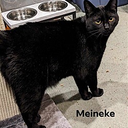 Photo of Meineke