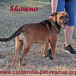 Photo of Shawna