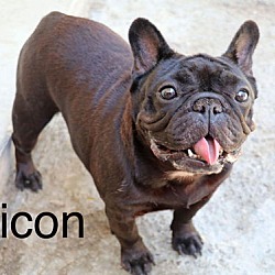 Thumbnail photo of Picon #1