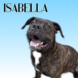 Thumbnail photo of Isabella #1