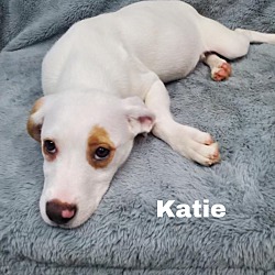 Thumbnail photo of Katie #2