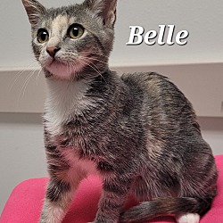 Thumbnail photo of Belle #3