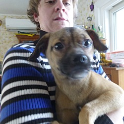 Thumbnail photo of Bosworth-pending adoption #1