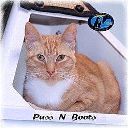 Thumbnail photo of Puss n' Boots #1