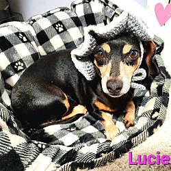 Photo of Lucie