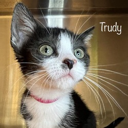 Photo of Trudy