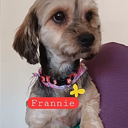 Photo of Frannie