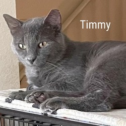 Thumbnail photo of Timmy #1