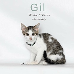Thumbnail photo of GIL #1