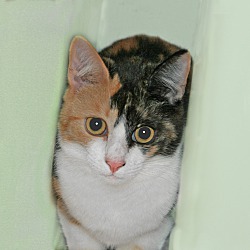 Photo of Dotty
