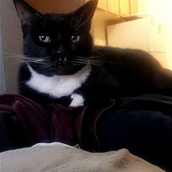 Photo of Holly