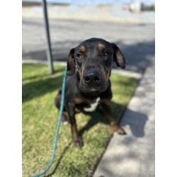 Photo of LEROY