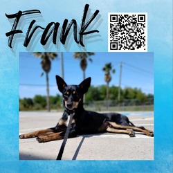 Thumbnail photo of Frank #1