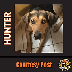 Thumbnail photo of HUNTER #8 #3