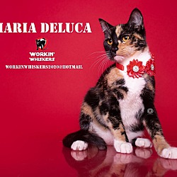 Thumbnail photo of MARIA DELUCA #1