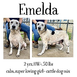 Photo of Emelda