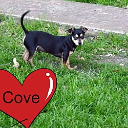 Thumbnail photo of Cove #2
