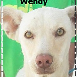 Thumbnail photo of Wendy-pending adoption #1
