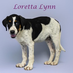 Thumbnail photo of Loretta Lynn D24-139 #1