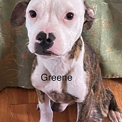 Photo of Greene