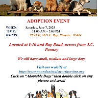 adopt a pet