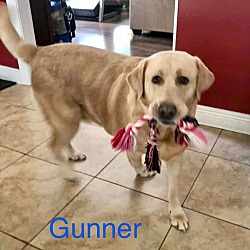 Thumbnail photo of GUNNER #2