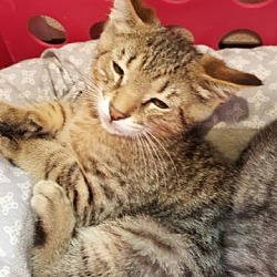 Thumbnail photo of Hubert #4